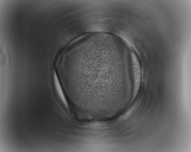 X0000088430109200706121458