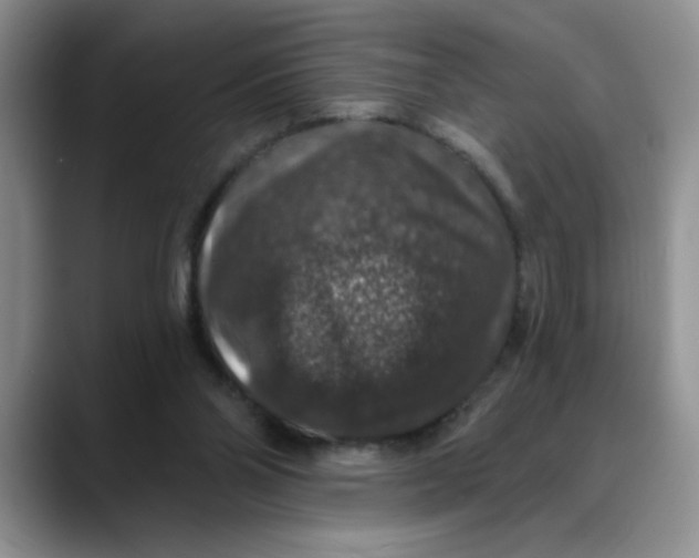 X0000088430110200706121458