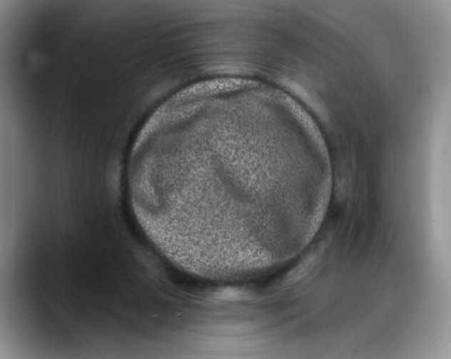 X0000088430111200706121458