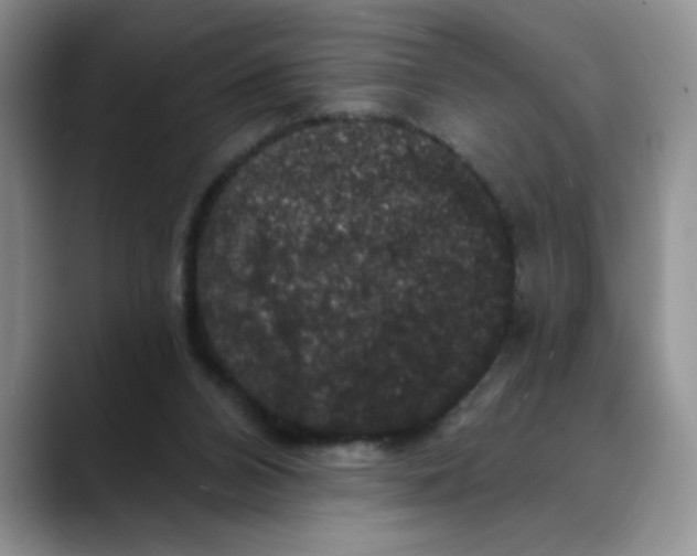 X0000088430112200706121458