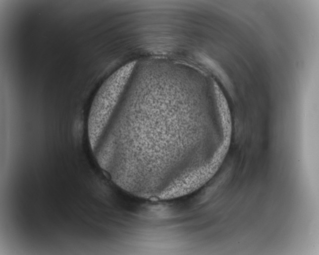 X0000088430113200706121458