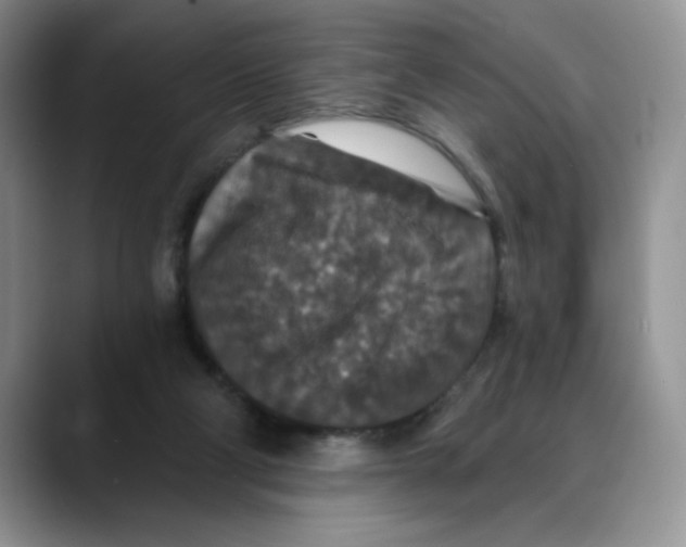 X0000088430114200706121458