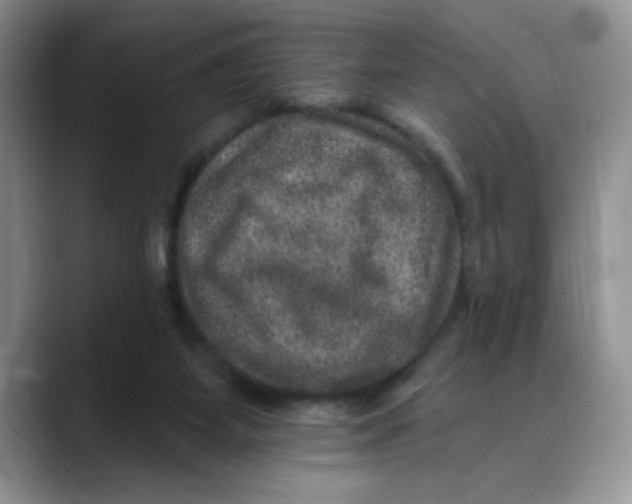 X0000088430115200706121458