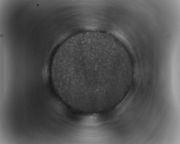 X0000088430116200706121458