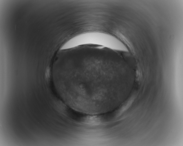 X0000088430117200706121458