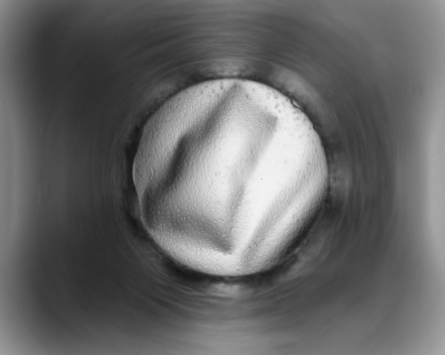 X0000088430119200706121458