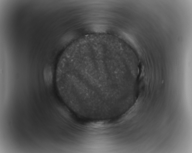 X0000088430120200706121458