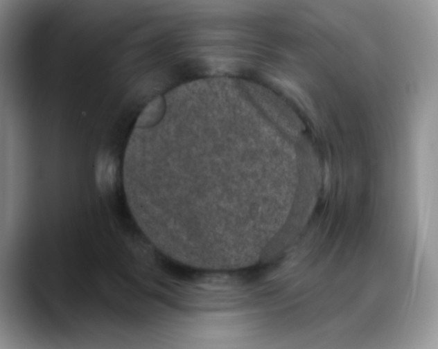 X0000088430123200706121457