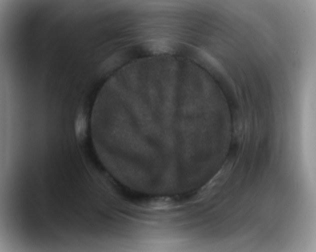 X0000088430124200706121457