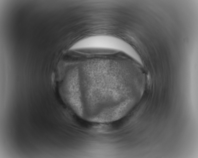 X0000088430125200706121457