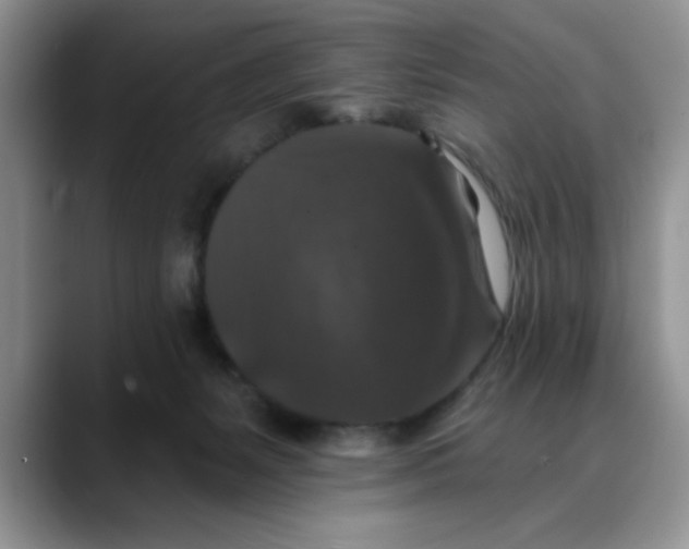 X0000088430127200706121457