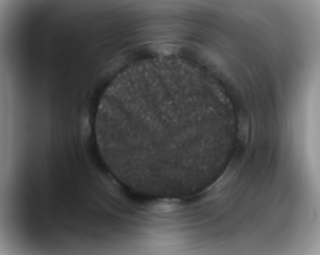 X0000088430128200706121457