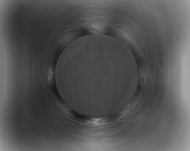 X0000088430130200706121457