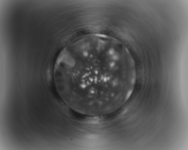 X0000088430131200706121457