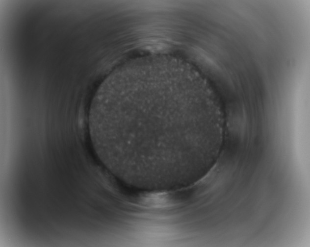 X0000088430132200706121457