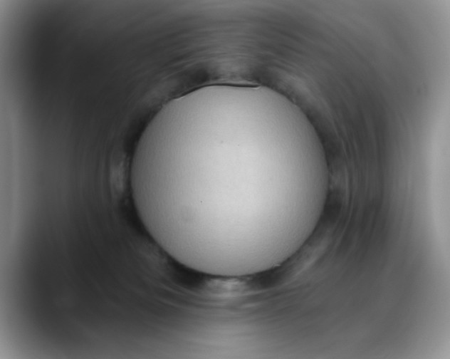 X0000088430133200706121457