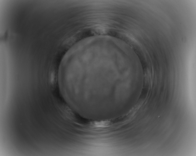 X0000088430134200706121457