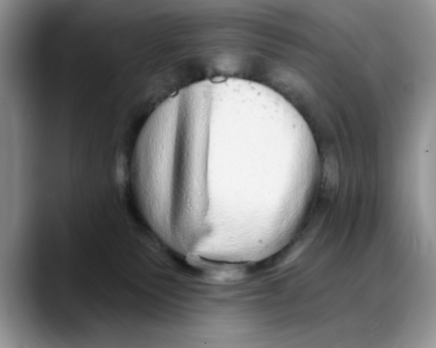 X0000088430135200706121457