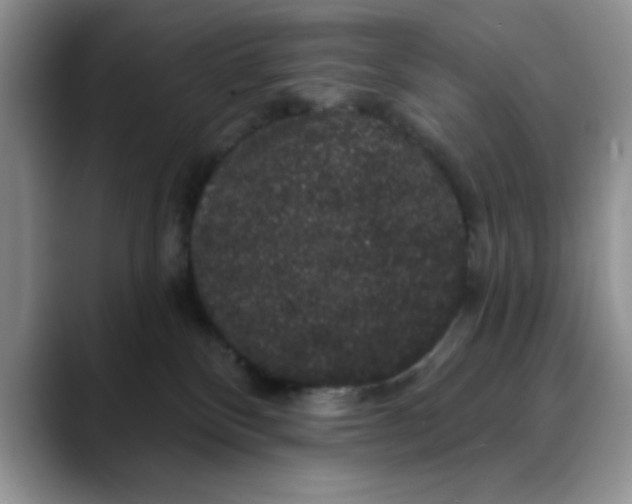 X0000088430136200706121457