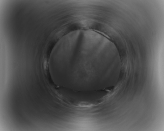 X0000088430137200706121457