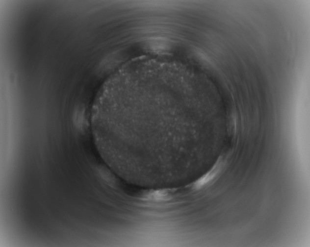 X0000088430140200706121457