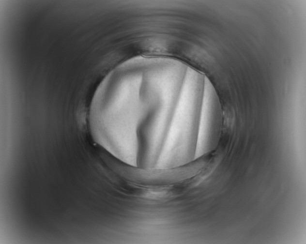 X0000088430141200706121457