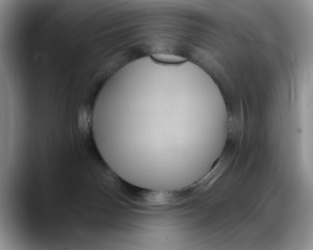 X0000088430142200706121457