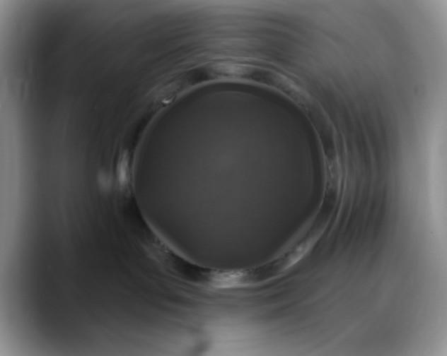 X0000088430143200706121457