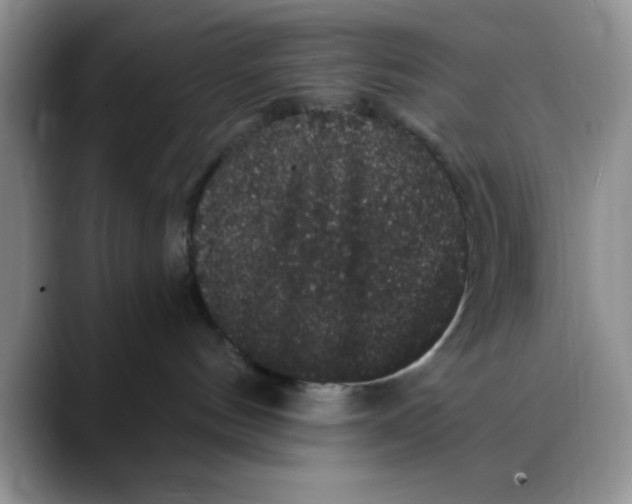 X0000088430144200706121457