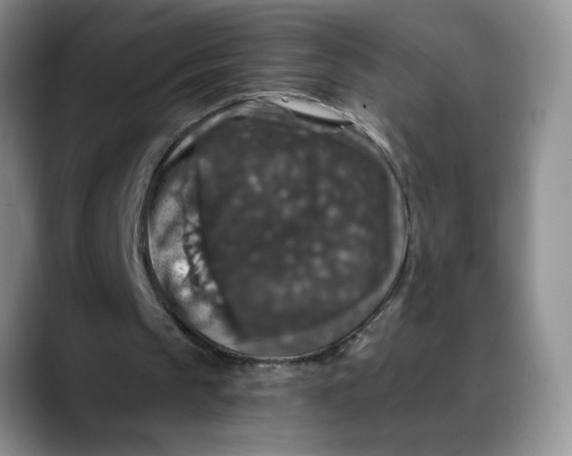 X0000088430145200706121457