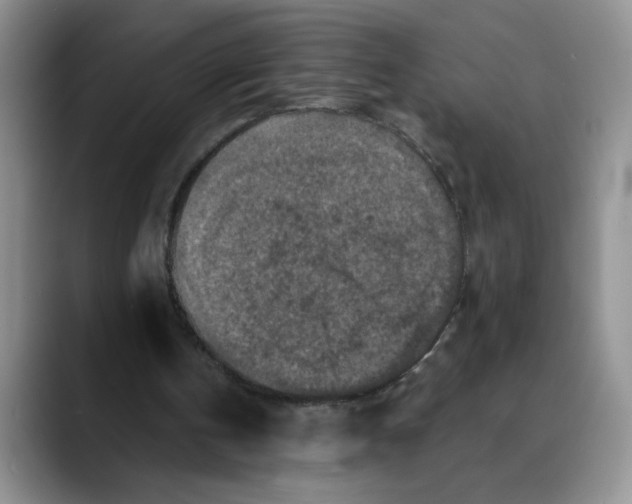 X0000088430146200706121457