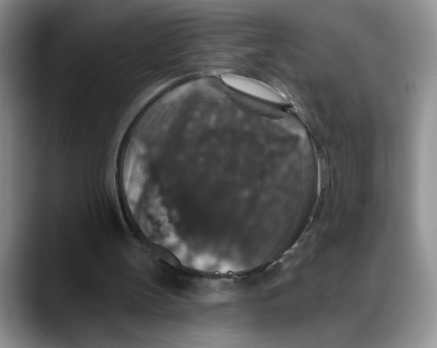 X0000088430147200706121457