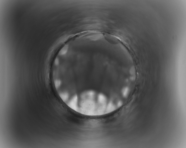 X0000088430149200706121457
