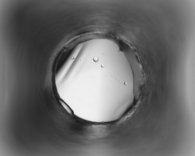 X0000088430150200706121457