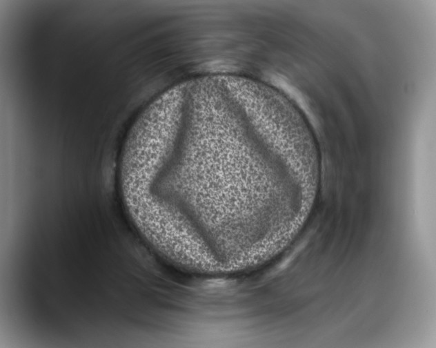 X0000088430153200706121457