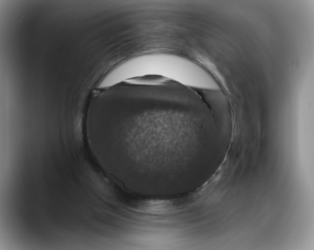 X0000088430154200706121457