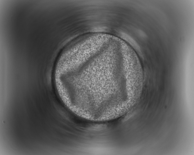 X0000088430155200706121457