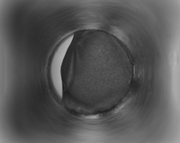 X0000088430156200706121457