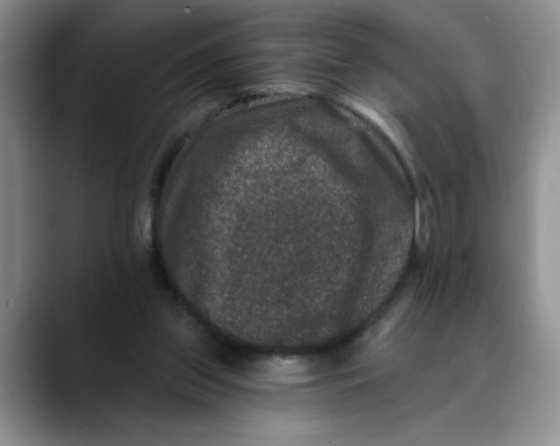X0000088430157200706121457
