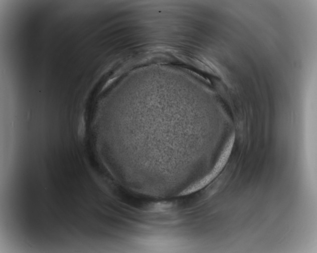 X0000088430158200706121457