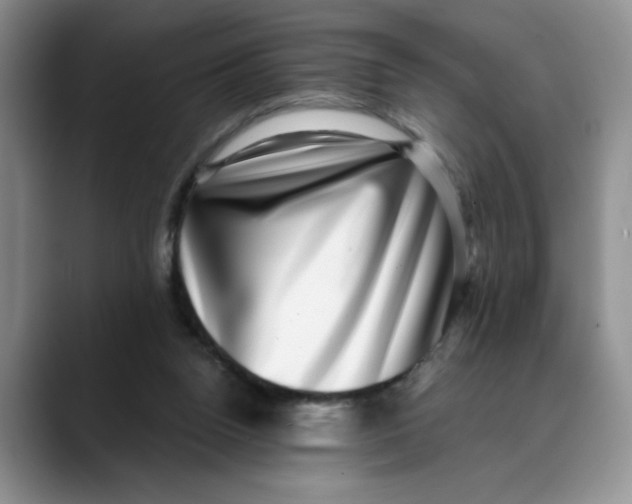 X0000088430160200706121457