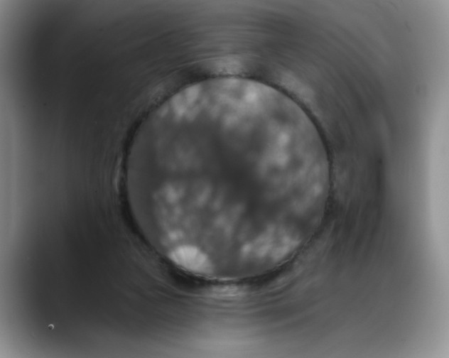 X0000088430161200706121457