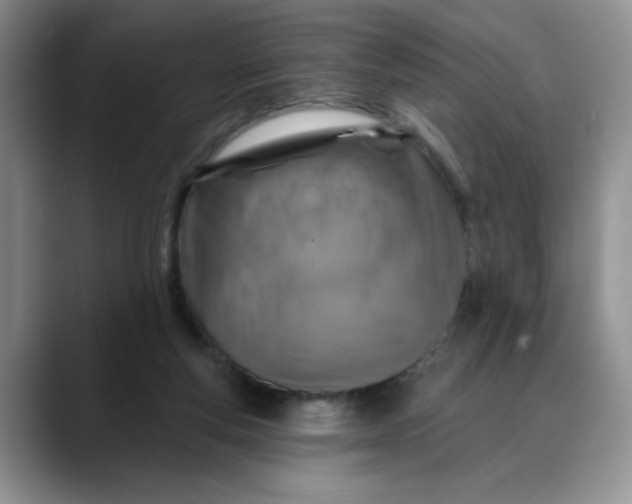 X0000088430163200706121457