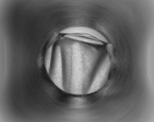 X0000088430164200706121457