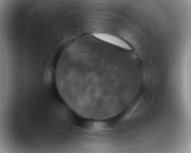 X0000088430165200706121457