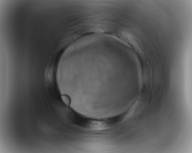 X0000088430167200706121457