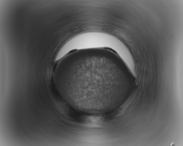 X0000088430168200706121457