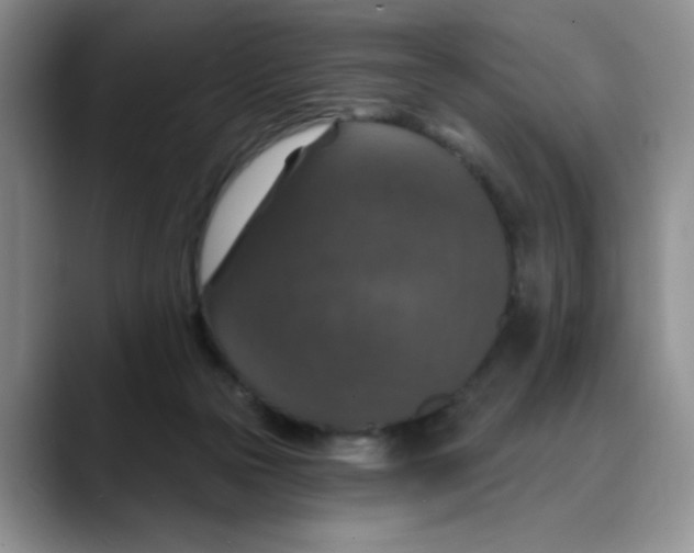 X0000088430169200706121457