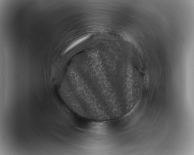 X0000088430170200706121457