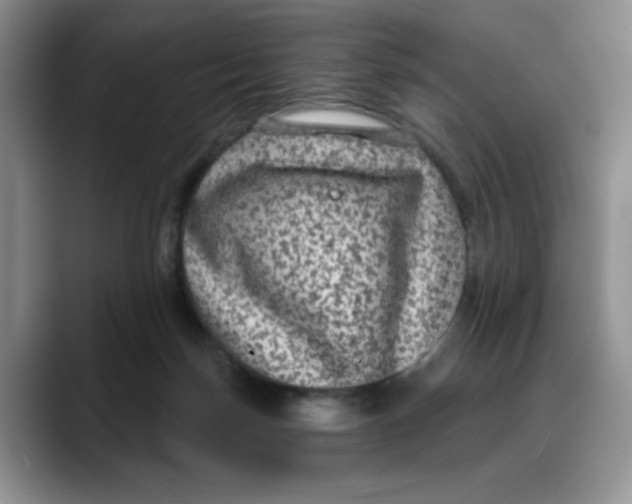 X0000088430171200706121457